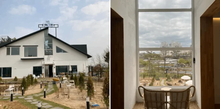 A Curated Guide to Incheon’s Most Unique Cafes