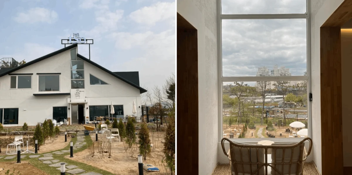 A Curated Guide to Incheon’s Most Unique Cafes