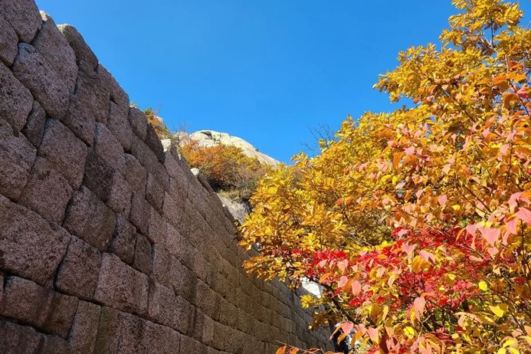 Comprehensive Guide to South Korea Travel Updates: Entry Rules, Transport Changes, and Tourist Regulations for 2026 and Beyond