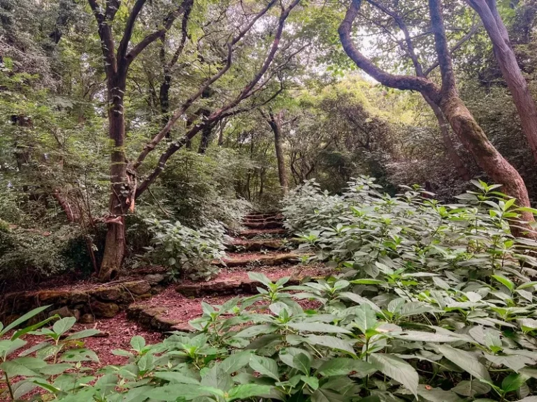 Jeju Stone Park Offers Deep Dive Into Volcanic Island Heritage, Mythology, and Geology