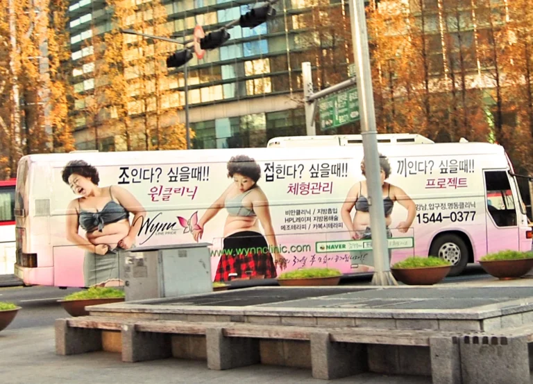 The Unintended Consequences of South Korea’s Digital Beauty Standards in Government Documentation